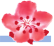 China Airlines
