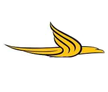 Virgin Pacific