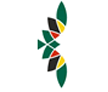 Virgin Nigeria Airways