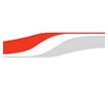 TransHolding System