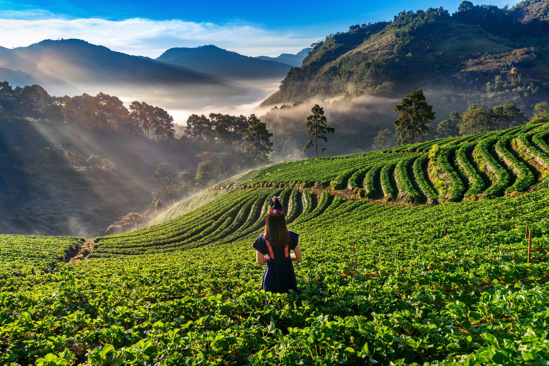 Coorg