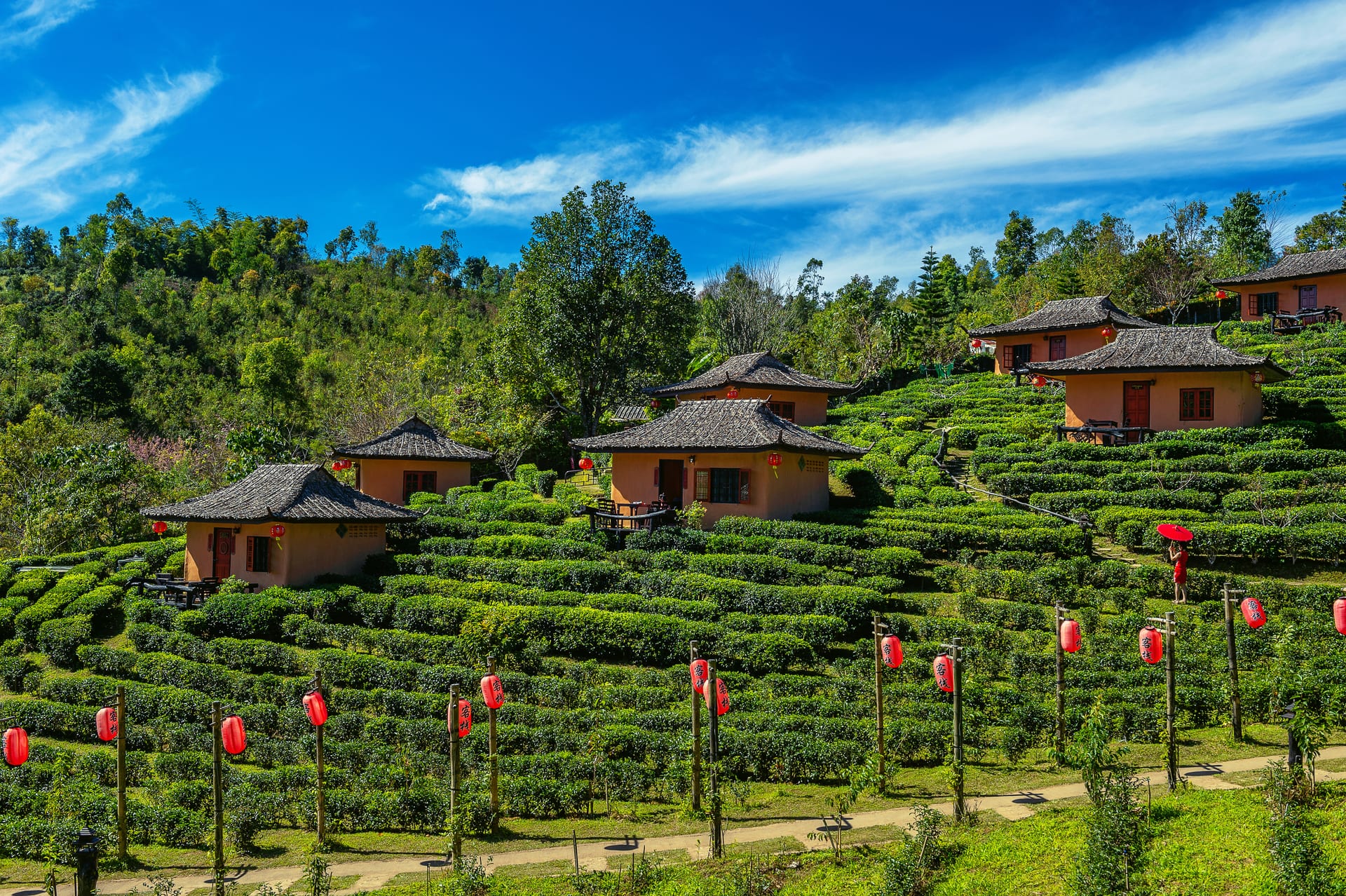 Ooty